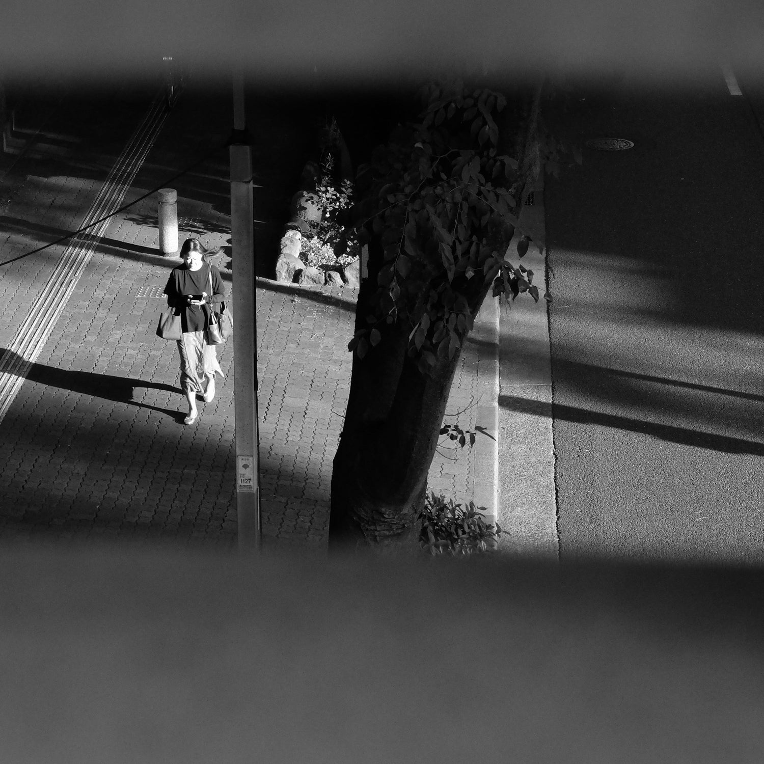 【作例付き】モノクロで縛るという贅沢－FUJIFILM X20－