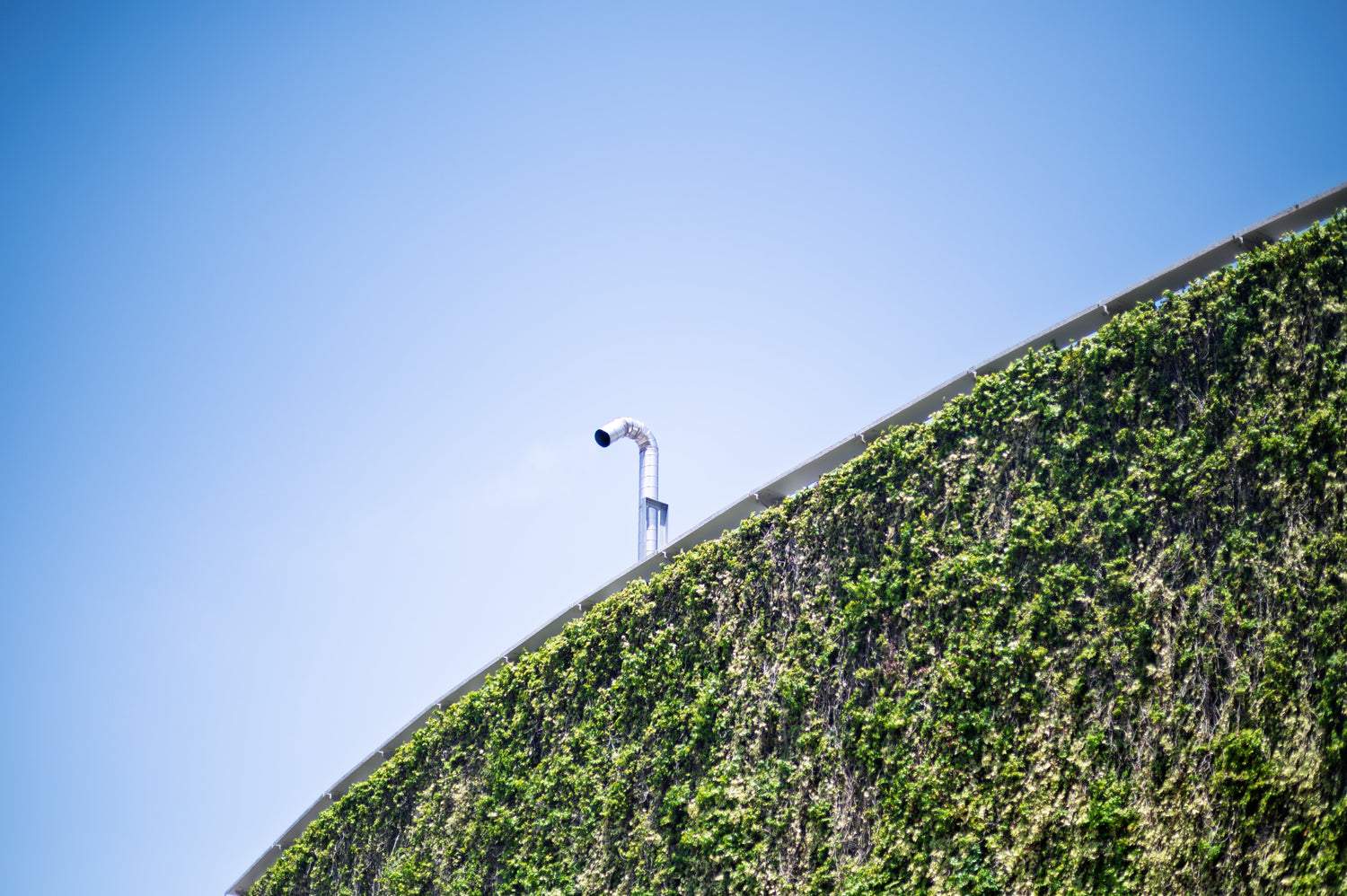 【作例付き】レンズの重さは、ときめきの重さ。Nikon Z6II と CONTAX Carl Zeiss Planar 85mm f/1.2 T* MMG で歩く初夏