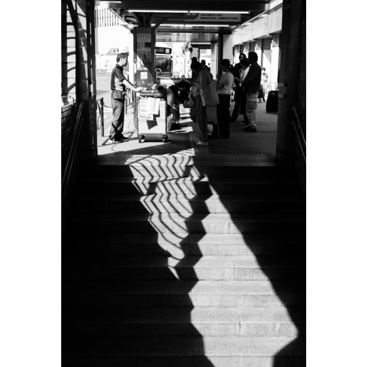Leica M（Typ 240）× SUMMICRON-M 50mm f/2 E39 第3世代 レビュー・作例
