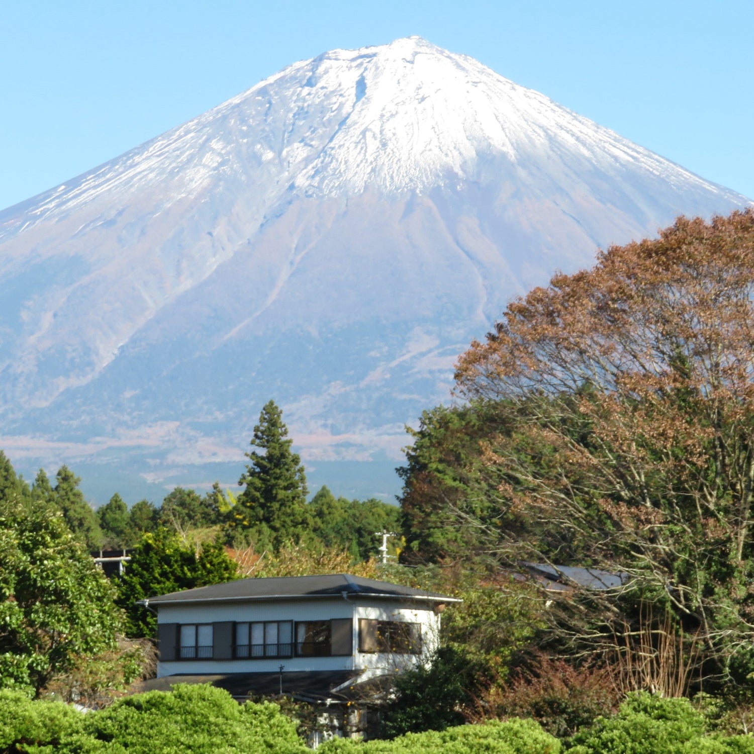 【作例付き】光学40倍ズームが変える旅の解像度、Canon PowerShot SX720 HS