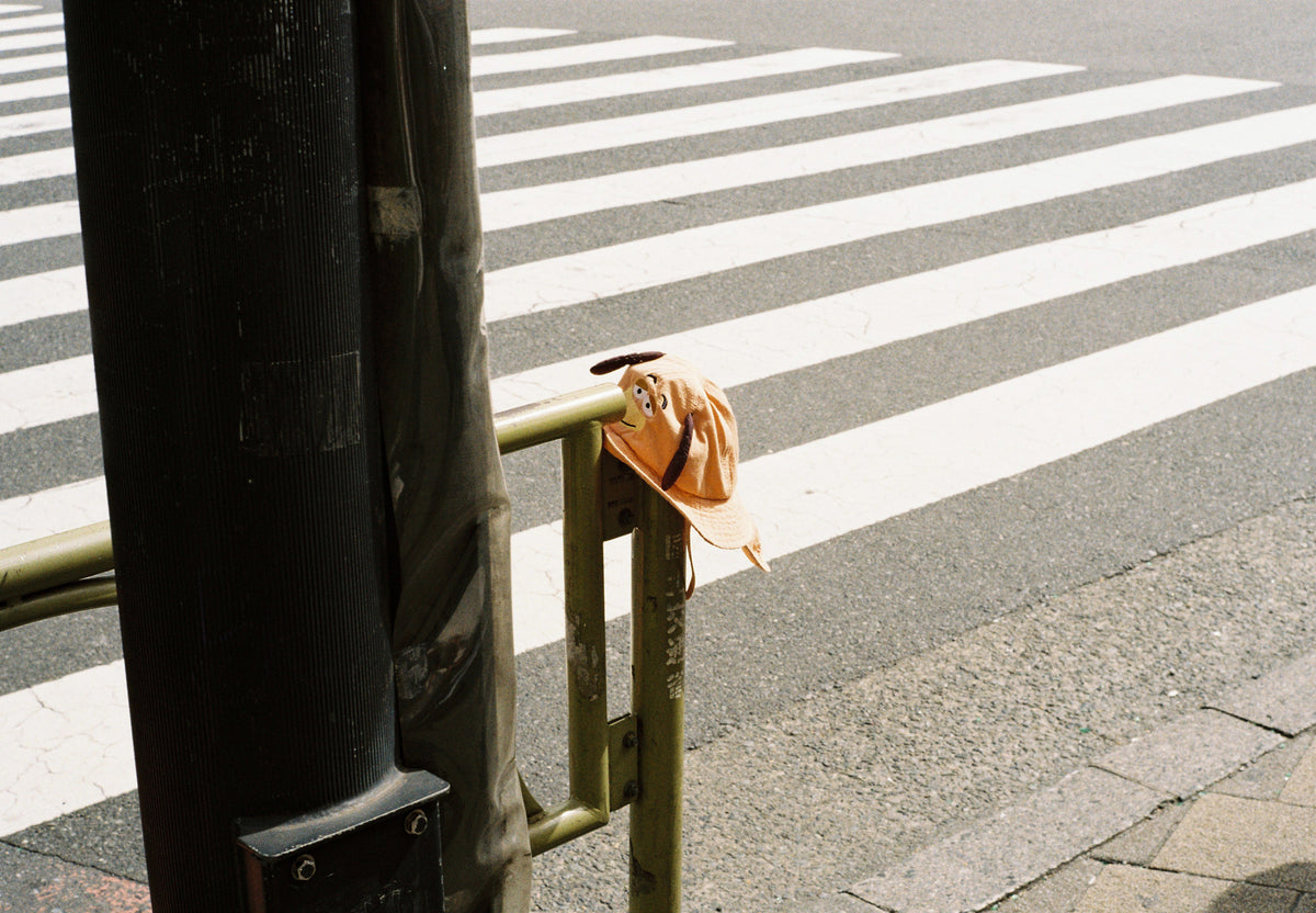 Leica M3 / Leica SUMMILUX-M 50mm f/1.4 E46