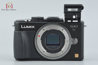 [Used] Panasonic LUMIX DMC-GX1 14-42mm Lens Kit Black - Low Shutter Count