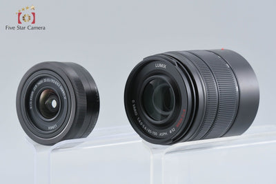 [Used] Panasonic LUMIX DC-G100DW Double Zoom Lens Kit with Original Box