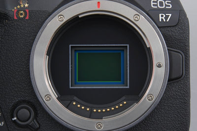 [Used] Canon EOS R7 Mirrorless Camera, Low Shutter Count, With Original Box