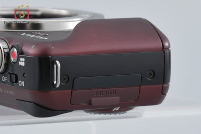 【Used】Panasonic LUMIX DMC-GF3 Sensual Brown Mirrorless Interchangeable Lens Camera, Low Shutter Count