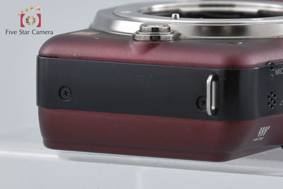 【Used】Panasonic LUMIX DMC-GF3 Sensual Brown Mirrorless Interchangeable Lens Camera, Low Shutter Count
