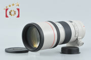 [Used] Canon EF 300mm f/4 L USM