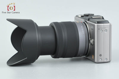 [Used] Panasonic LUMIX DMC-GX1 Blade Silver + G VARIO 14-42mm f/3.5-5.6 ASPH. MEGA O.I.S. H-FS014042 Low Shutter Count