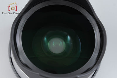 【中古】SONY ソニー E 16mm f/2.8 SEL16F28 + VCL-ECF1 フィッシュアイコンバーター
