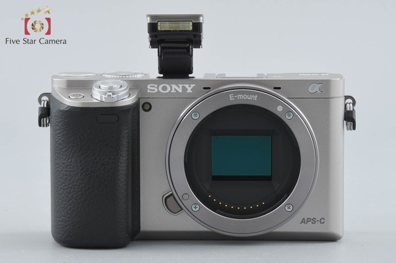 ��6000 ILCE-6000L �p���[�Y�[�������Y�L�b�g [�V���o�[]
