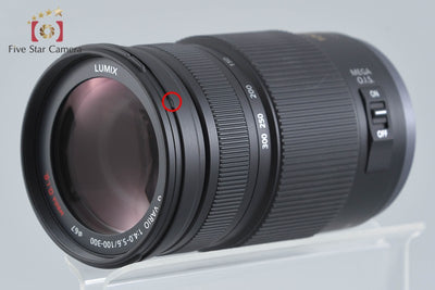【Used】Panasonic LUMIX G VARIO 100-300mm f/4-5.6 MEGA O.I.S. H-FS100300