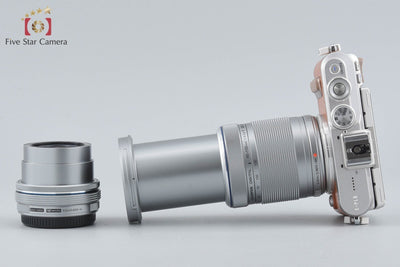 【中古】OLYMPUS オリンパス PEN E-PL8 EZ ダブルズームキット ブラウン シャッター回数僅少 元箱付き