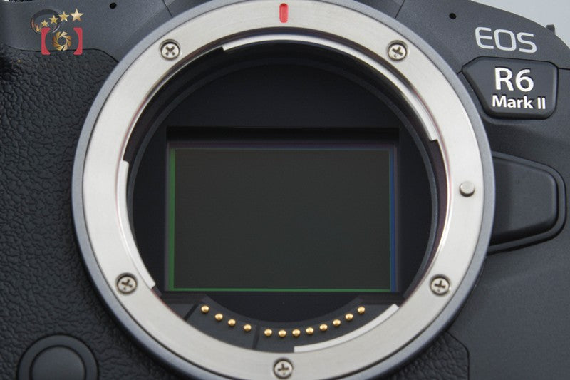 中古】Canon キヤノン EOS R6 Mark II ミラーレス一眼カメラ