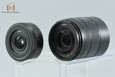 【中古】Panasonic パナソニック LUMIX DC-G100 ダブルズームレンズキット シャッター回数僅少 元箱付き