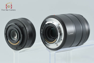 【中古】Panasonic パナソニック LUMIX DC-G100 ダブルズームレンズキット シャッター回数僅少 元箱付き