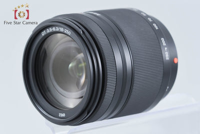 【中古】SONY ソニー DT 18-250mm f/3.5-6.3 SAL18250
