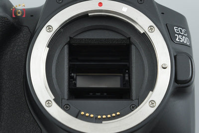 【中古】Canon キヤノン EOS 250D + EF-S 18-55mm f/4-5.6 IS STM