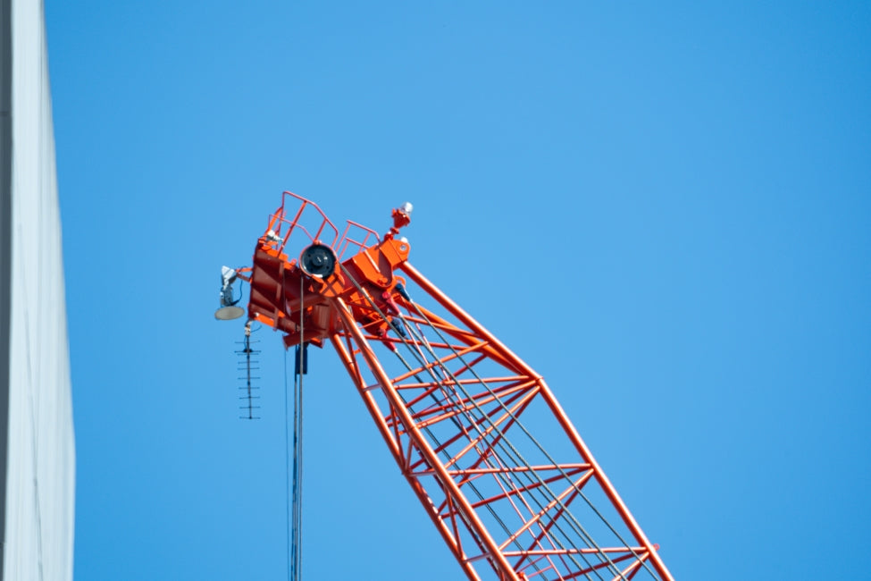 α7V + FE 400-800mm f/6.3-8 G OSS, ISO125, f/8, 1/250s, 800mm