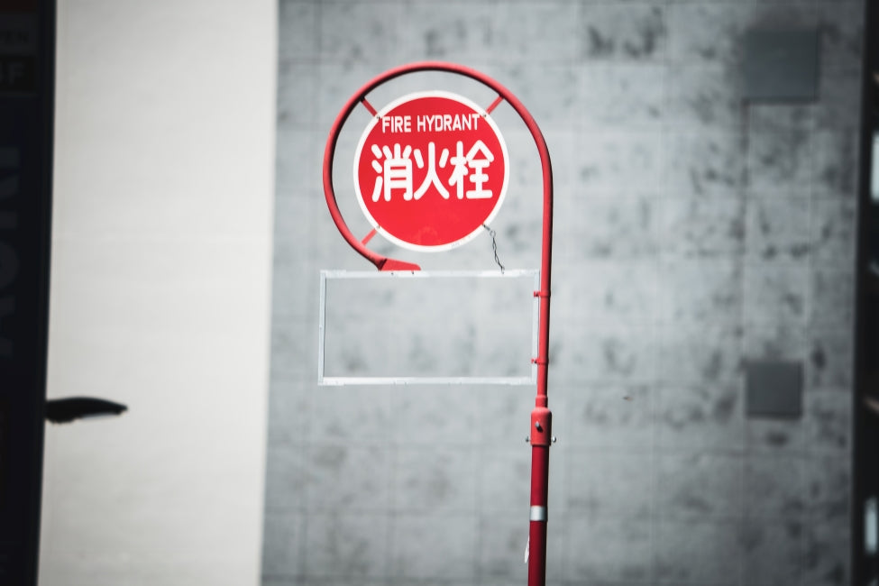 α7V + FE 400-800mm f/6.3-8 G OSS, ISO125, f/6.3, 1/200s, 400mm