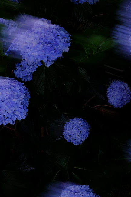 FUJIFILM X-M1 + XF 35mm f/1.4 R