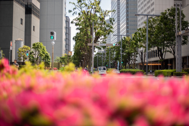 Nikon D750 + Carl Zeiss Planar 50mm f/1.4 ZF.2