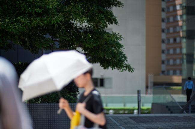 Nikon Z6II + CONTAX Carl Zeiss Planar 85mm f/1.2 T* MMG