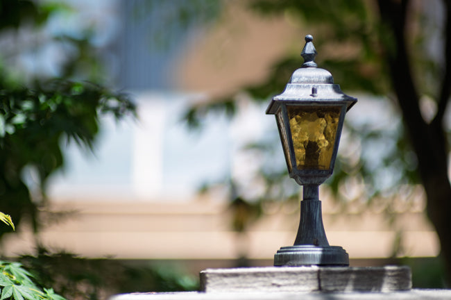 Nikon Z6II + CONTAX Carl Zeiss Planar 85mm f/1.2 T* MMG