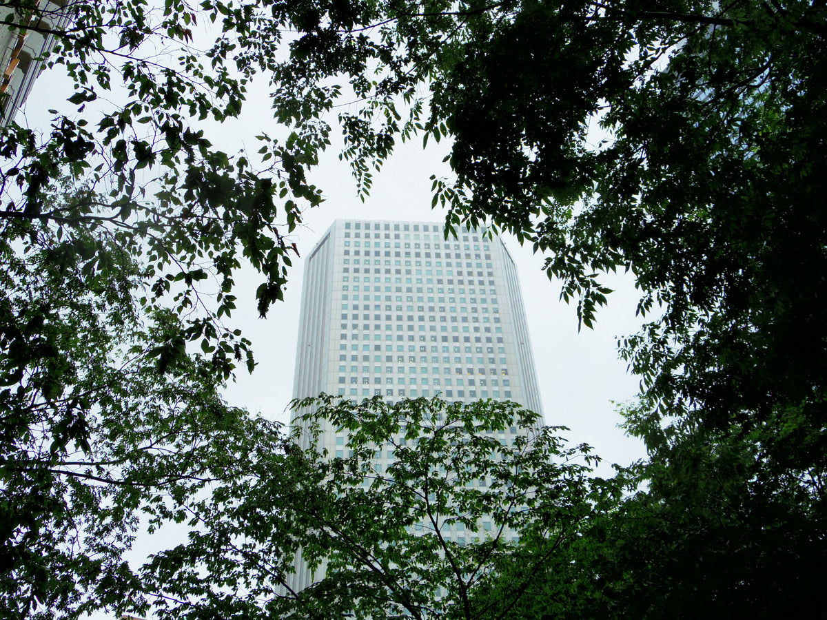 PENTAX Q10