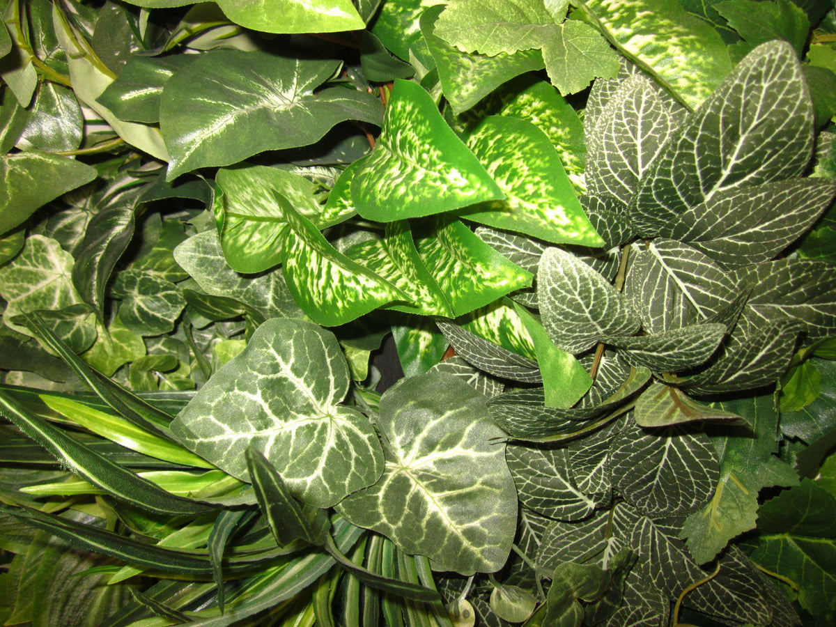 Canon IXY 200F