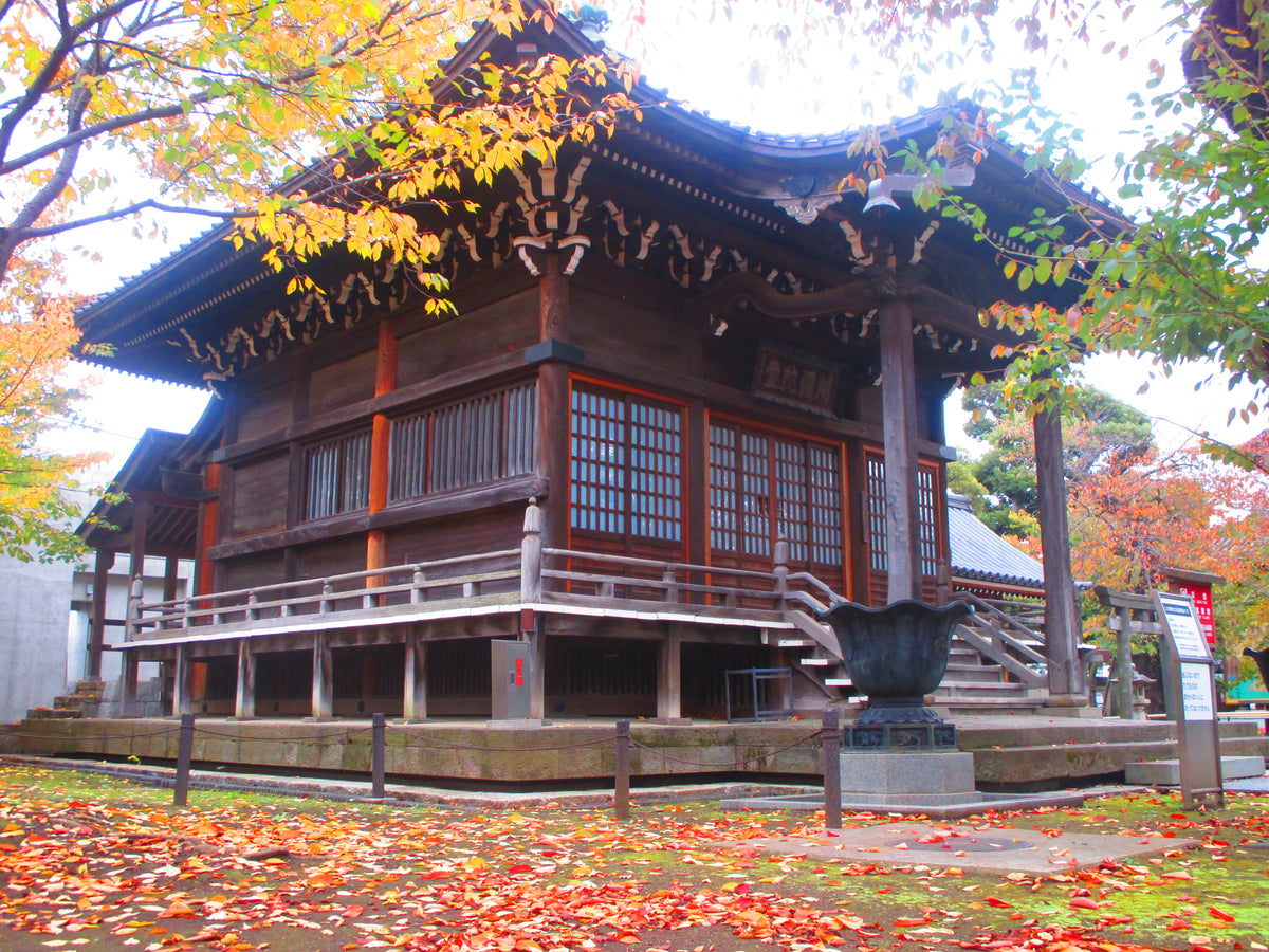 Canon IXY 90F