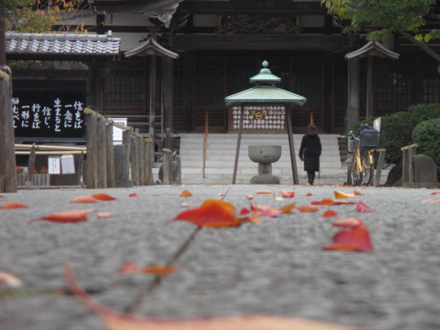 Canon IXY 90F