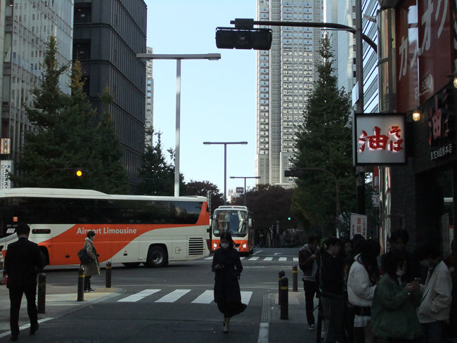 FUJIFILM FinePix F80EXR