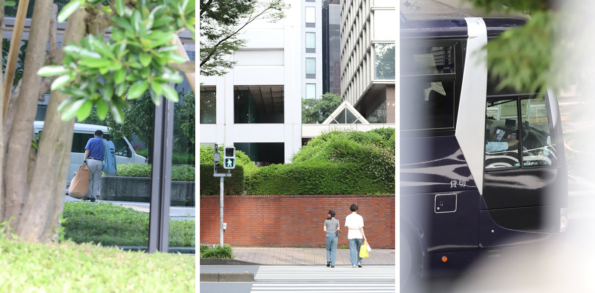 Canon EOS 6D + EXTENDER EF 2x II + EF 70-200mm f/4L IS USM