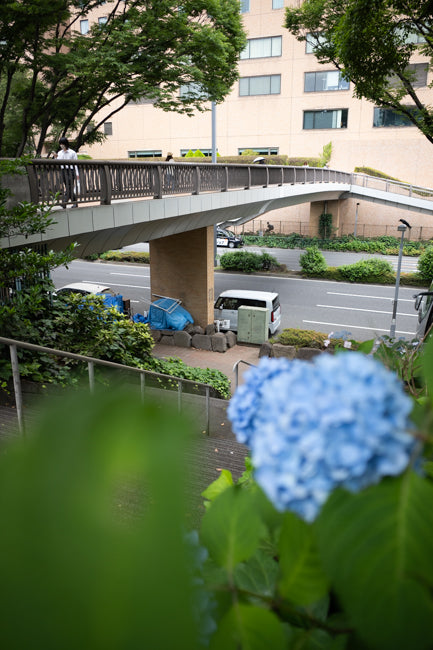 RICOH GR IV