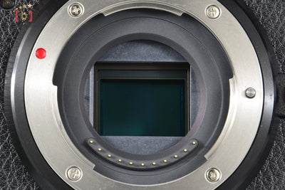 Panasonic LUMIX DC-GX7 Mark III Black Mirrorless Camera