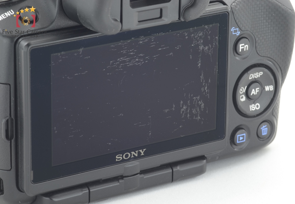 SONY α55 レンズセット+spbgp44.ru