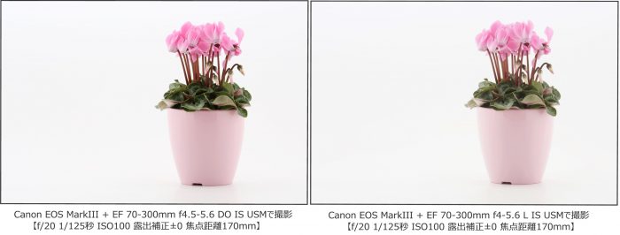 お花比較
