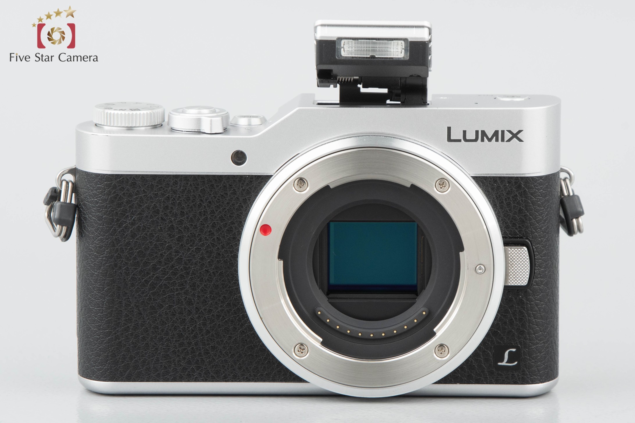 中古】Panasonic パナソニック LUMIX DC-GF9 シルバー ダブルレンズ