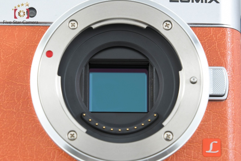 Panasonic - 【即発送可】Panasonic DC-GF9W オレンジ  LUMIX G 即発送可】Panasonic DC-GF9W オレンジ LUMIX G