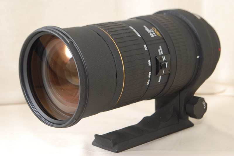 【訳ありsale】SIGMA APO50-500mm EX RF HSMSIGMA